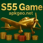 S55