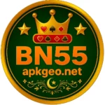 BN55