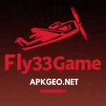 fly33