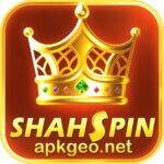 shahspin