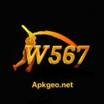 W567