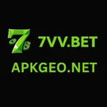 7vv bet